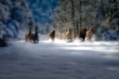 Picture of WINTER FAIRYTALE