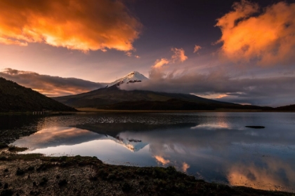 Picture of THE VULCANO COTOPAXI WITH SNOWY PEAK IN THE MORNING LIGHT