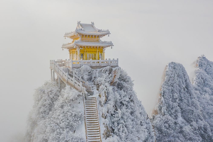 Picture of GOLDEN ROOF