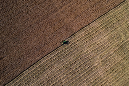 Picture of HARVEST