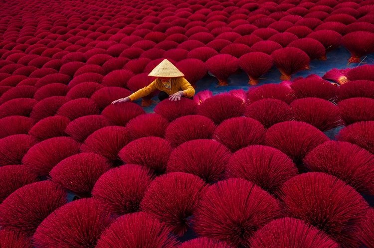 Picture of INCENSE DRYING