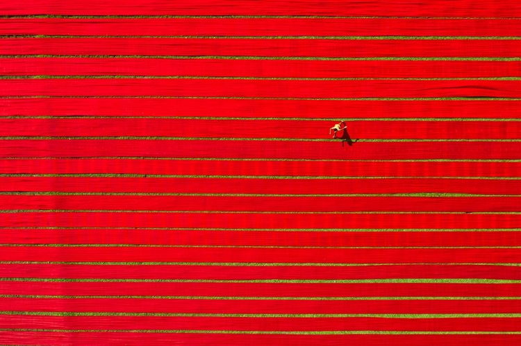 Picture of DRYING COLORFUL CLOTH