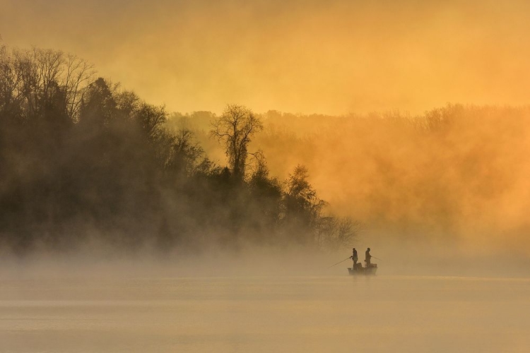 Picture of MORNING FISHING