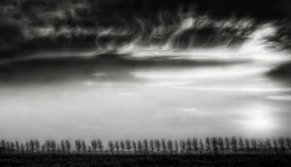 Picture of CLOUDS DANCING WITH THE TREES...