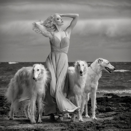 Picture of LADY WITH HOUNDS