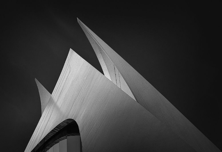 Picture of SAILS 05