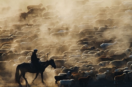 Picture of GRAZING IN THE MORNING