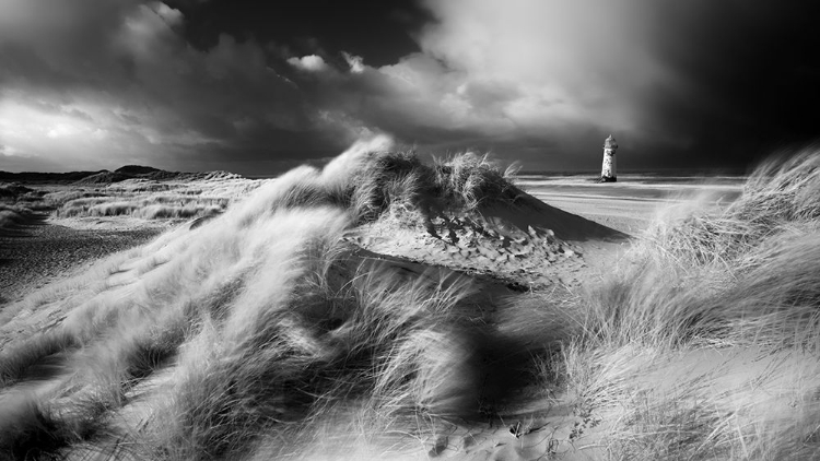 Picture of AMONGST THE DUNES