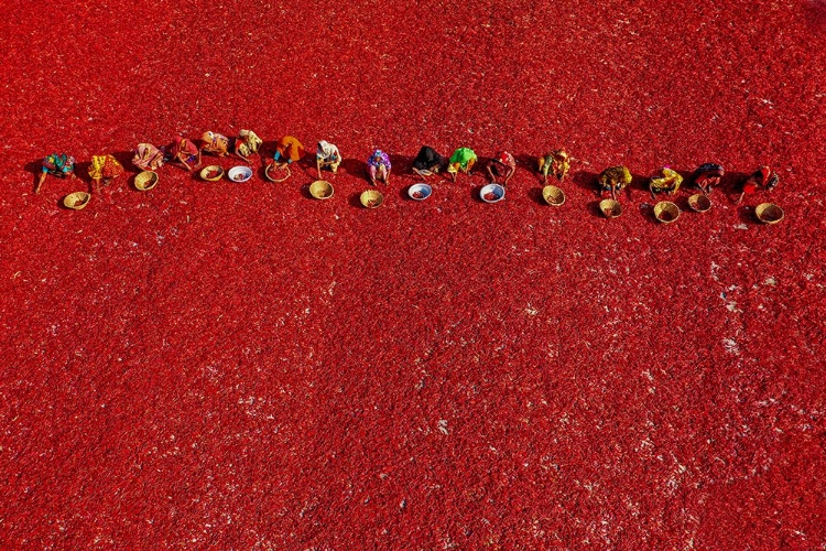 Picture of RED CARPET