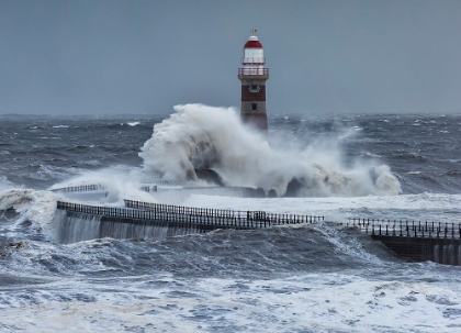 Picture of STORM RISING