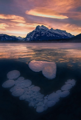 Picture of ICE BUBBLES IN VERMILION LAKES