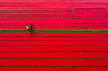 Picture of BICYCLE ON RED CLOTHS