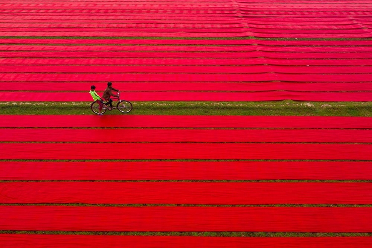 Picture of BICYCLE ON RED CLOTHS