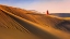 Picture of DESERT MORNING