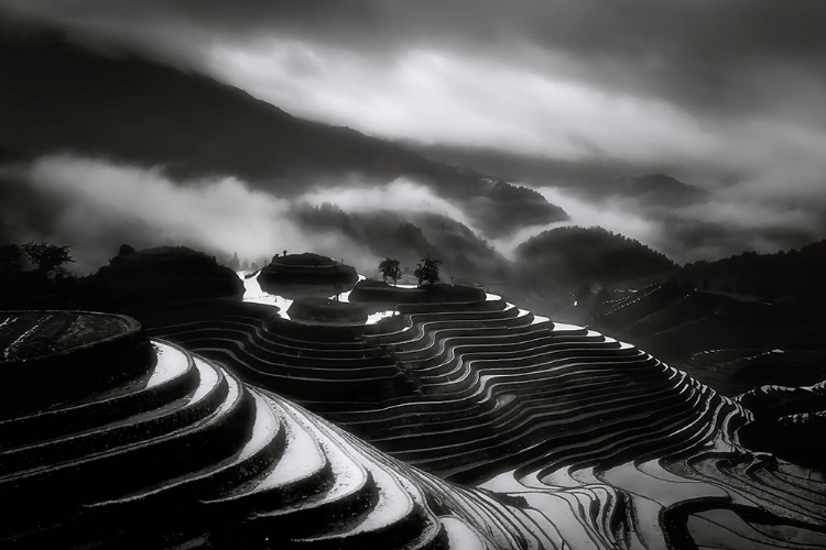 Picture of THE TERRACED FIELDS.