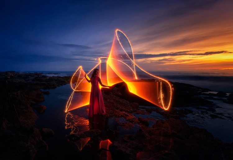 Picture of THE LIGHT DANCE