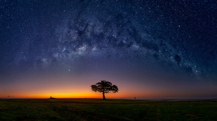 Picture of MILKY WAY IN MASAMARA AT DAWN