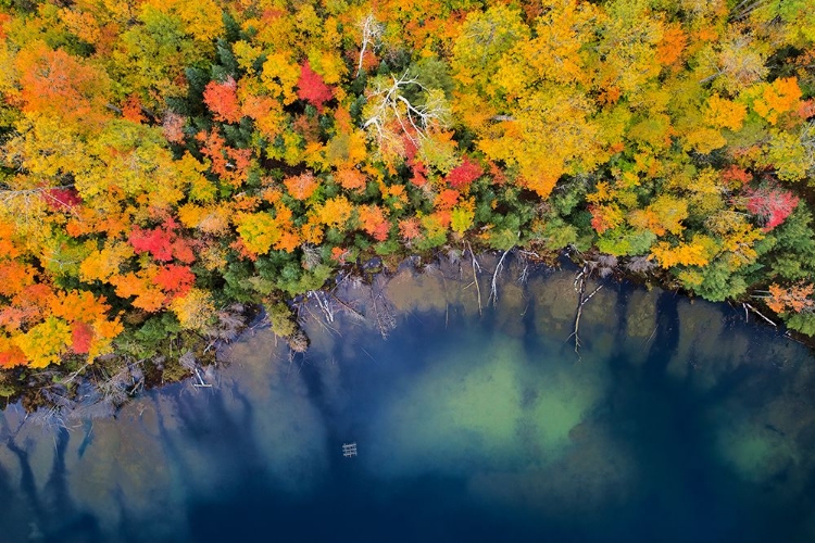 Picture of AUTUMN POND