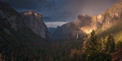 Picture of YOSEMITE