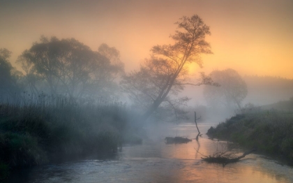 Picture of MISTY RIVER