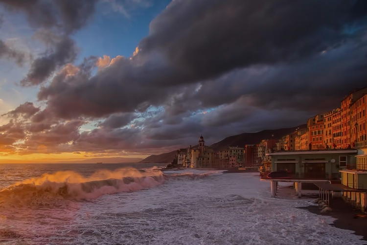 Picture of CAMOGLI