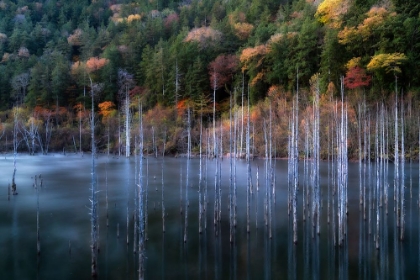 Picture of NATURAL LAKE AUTUMN