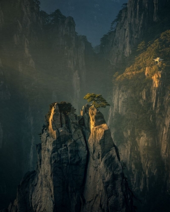 Picture of SUNSHINE IN HUANGSHAN