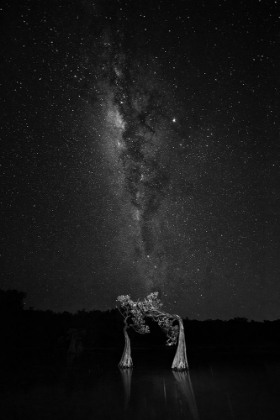 Picture of DANCING WITH MILKY WAY