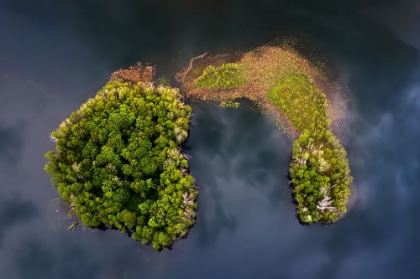 Picture of TWO ISLANDS