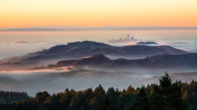 Picture of CITY IN THE SKY