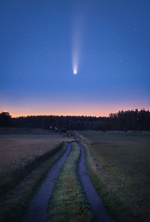 Picture of COMET NEOWISE OVER SWEDEN JULY 2020