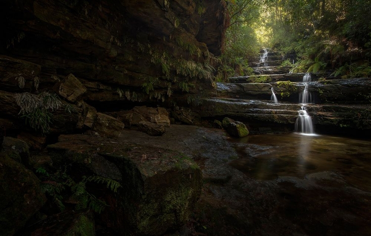 Picture of BLUE MOUNTAINS WATERFALLS