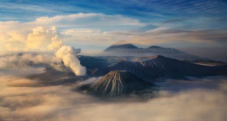 Picture of AWAN BROMO