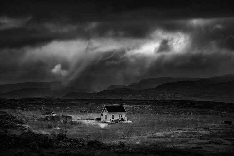 Picture of RAIN SHOWERS