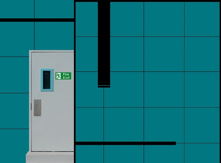 Picture of FIRE EXIT DOOR