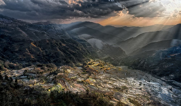 Picture of DAYBREAK LONGSHENG RICE FIELDS CHINA