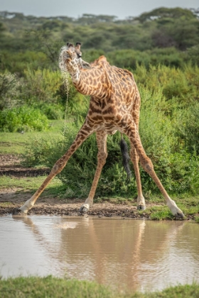 Picture of DRINKING WITH ANXIETY