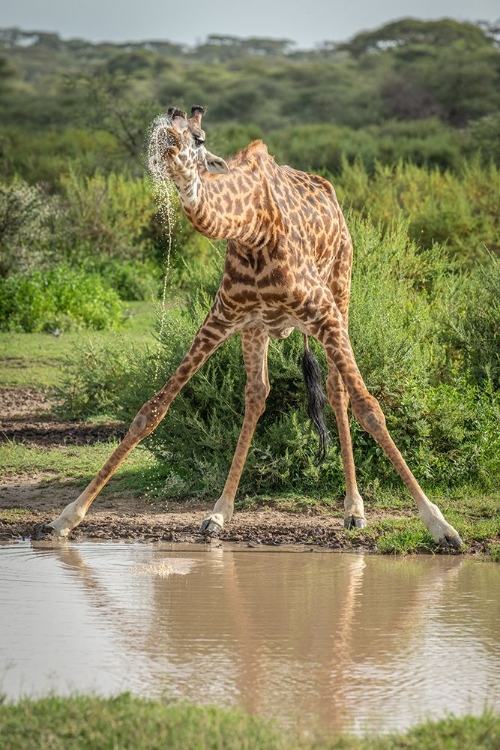 Picture of DRINKING WITH ANXIETY