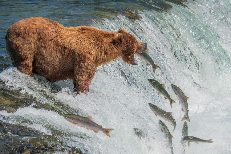 Picture of PERFECT FISHING SPOT