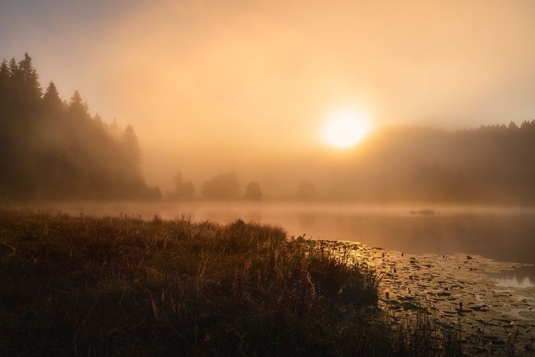 Picture of THE INCREDIBLE LIGHT OF AN OCTOBER MORNING