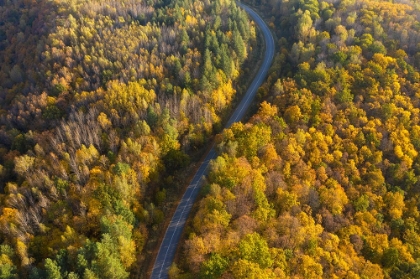 Picture of THROUGH AUTUMN