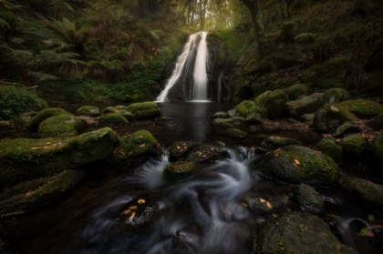 Picture of A GRACEFUL WATERFALL