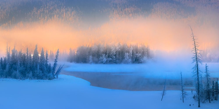 Picture of WINTER MORNING MIST IN THE MAGIC BAY