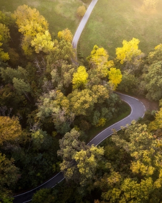 Picture of - AUTUMN ROAD -