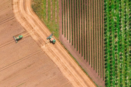 Picture of FIELDS GEOMETRY