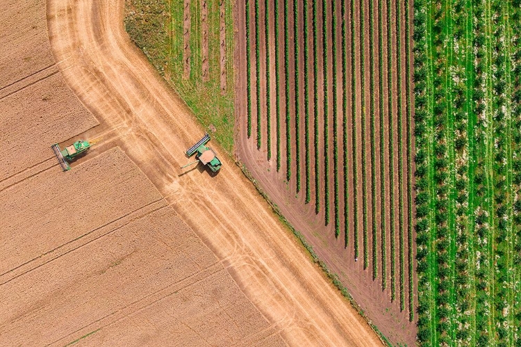 Picture of FIELDS GEOMETRY