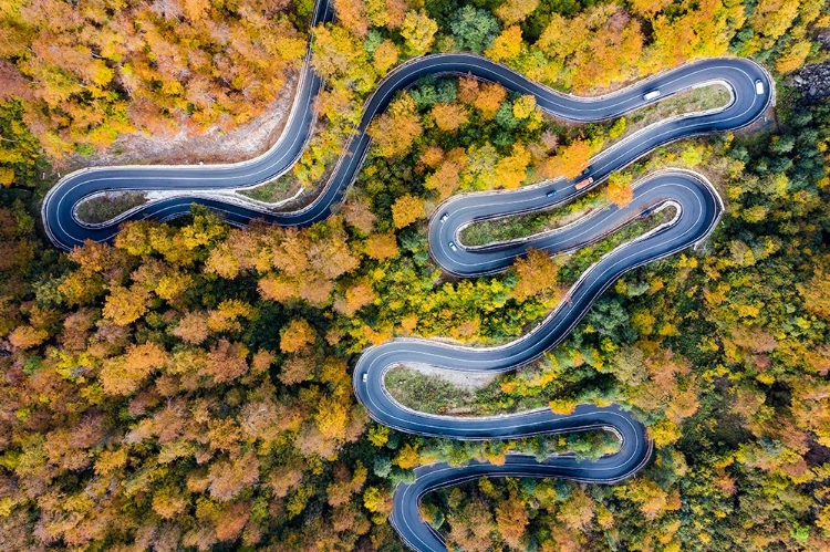 Picture of AUTUMN ROAD