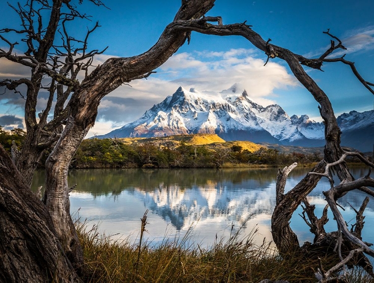 Picture of PATAGONIA