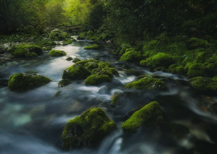 Picture of GLJUN CREEK