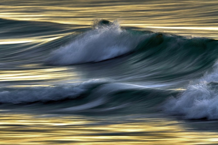 Picture of WAVES IN EVENING LIGHT